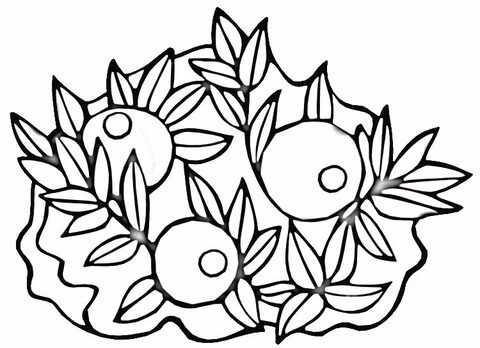 Cranberries  Coloring Page